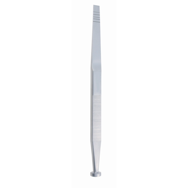 Marchac Lame élastique graduée 18cm 6mm droit