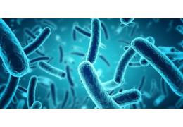 Quels risques infectieux ?